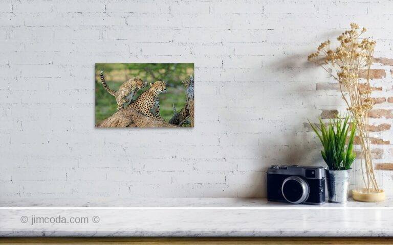 Fine art photo print example in living room