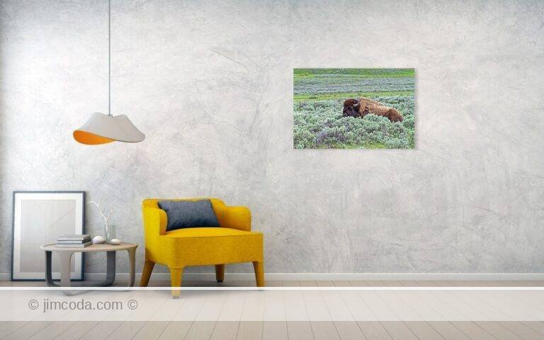 Fine art photo print example in living room