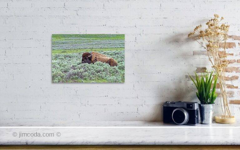 Fine art photo print example in living room