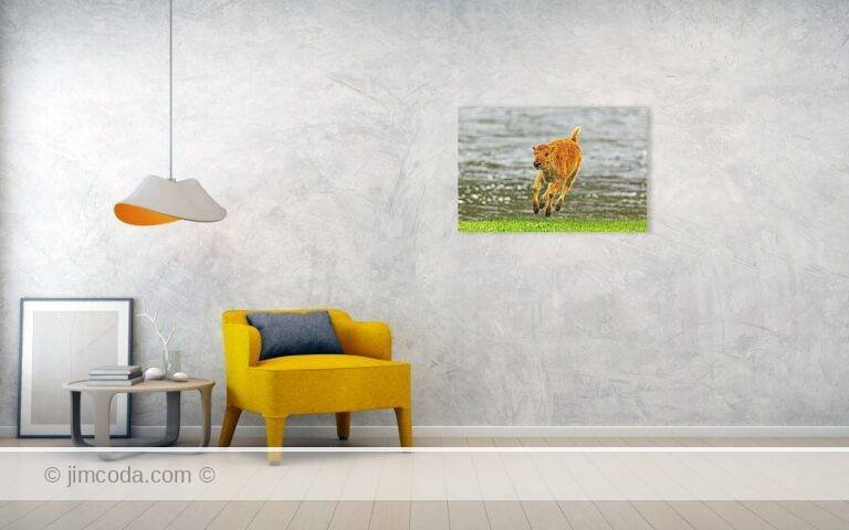 Fine art photo print example in living room