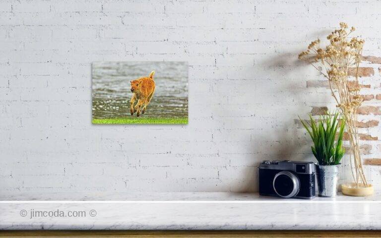 Fine art photo print example in living room