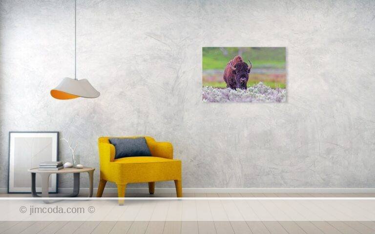 Fine art photo print example in living room