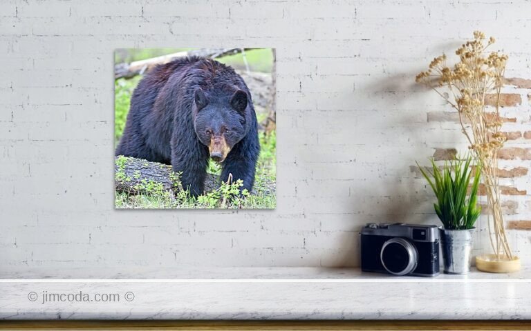 Fine art photo print example in living room