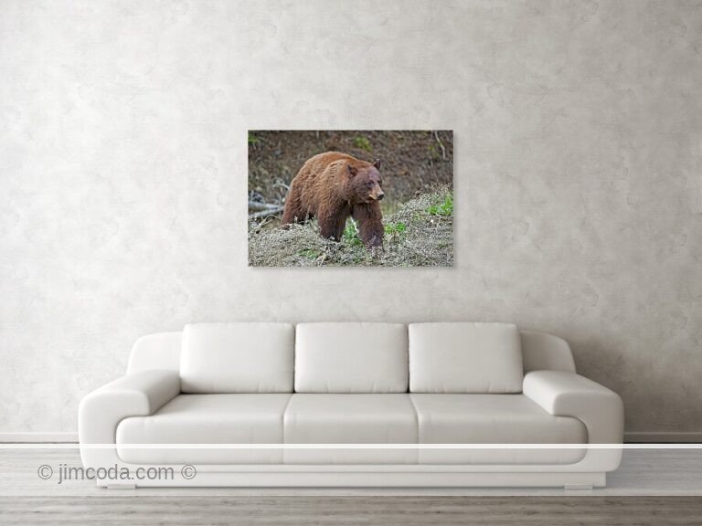 Fine art photo print example in living room