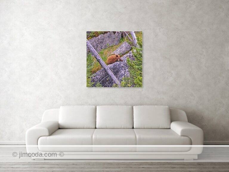 Fine art photo print example in living room