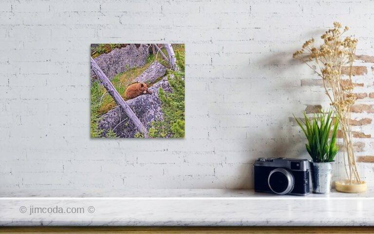 Fine art photo print example in living room