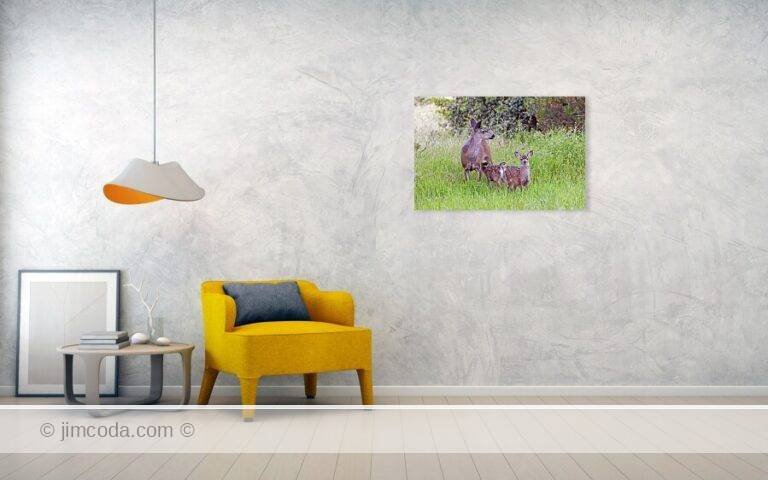 Fine art photo print example in living room