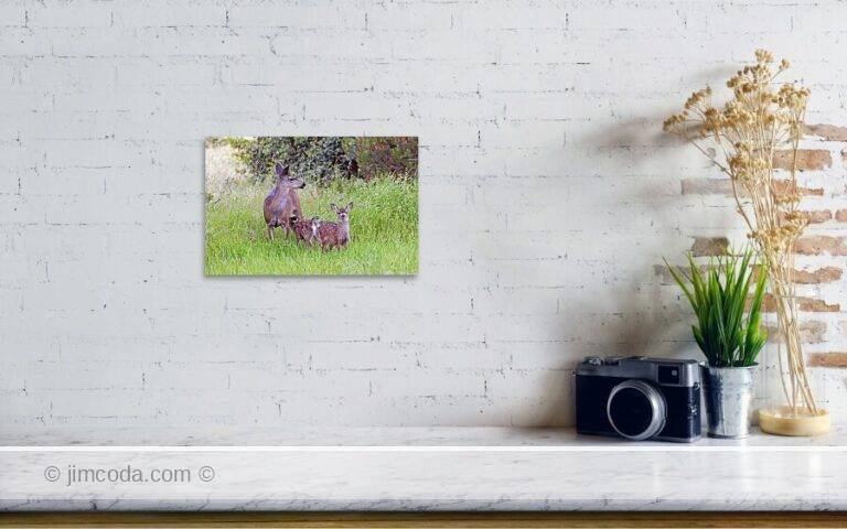 Fine art photo print example in living room