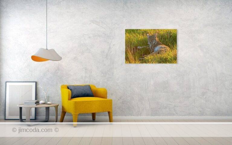 Fine art photo print example in living room
