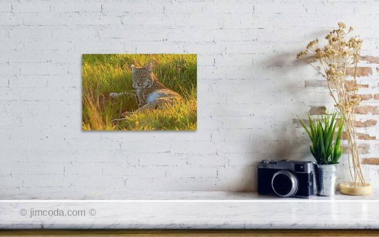 Fine art photo print example in living room