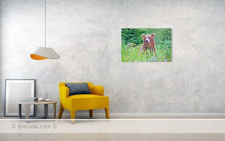 Fine art photo print example in living room