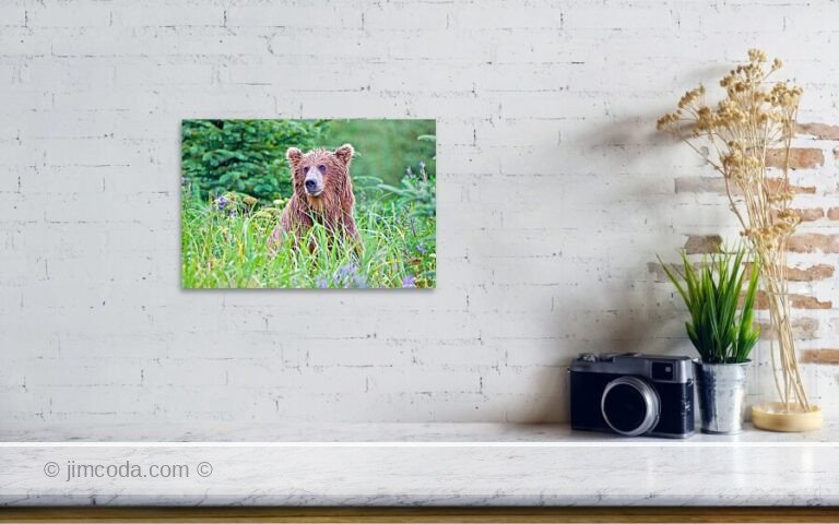 Fine art photo print example in living room