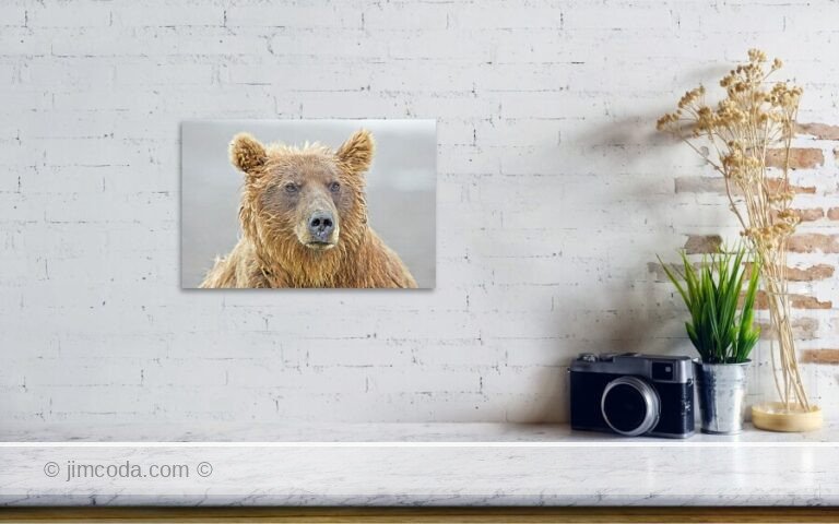 Fine art photo print example in living room