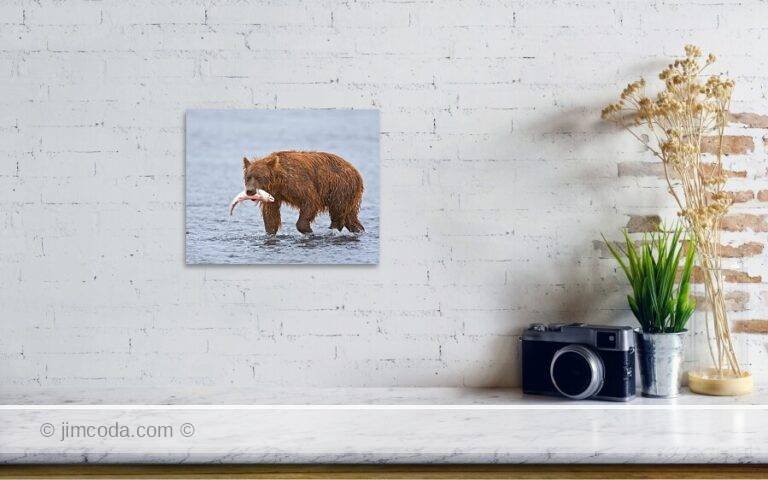 Fine art photo print example in living room