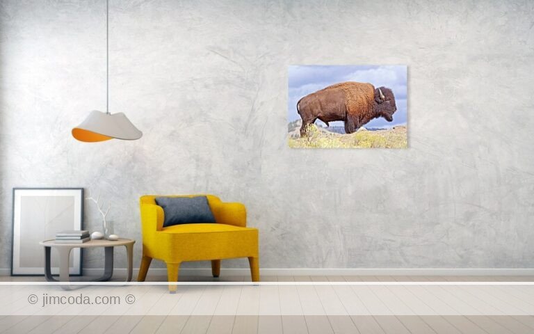 Fine art photo print example in living room