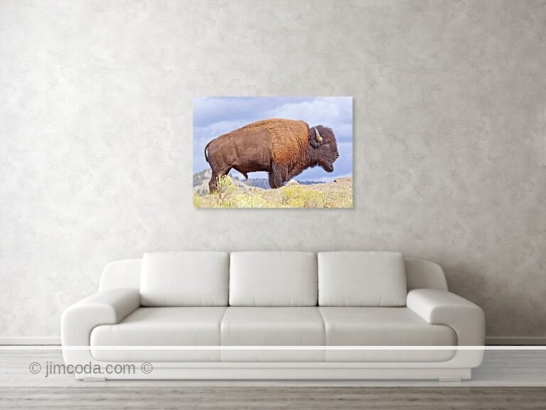 Fine art photo print example in living room