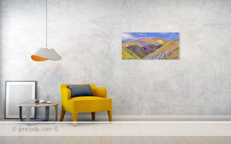 Fine art photo print example in living room