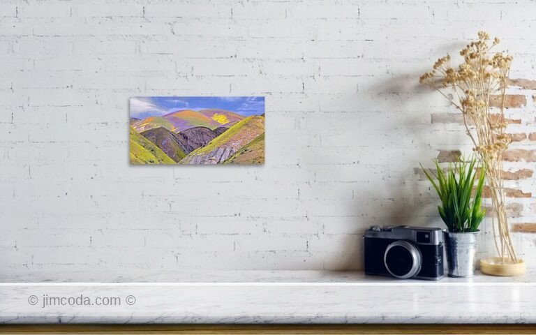 Fine art photo print example in living room