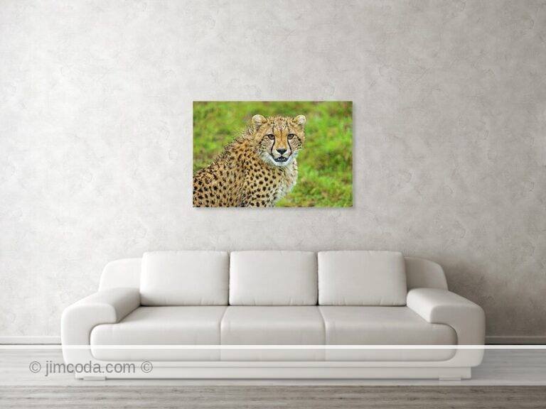 Fine art photo print example in living room