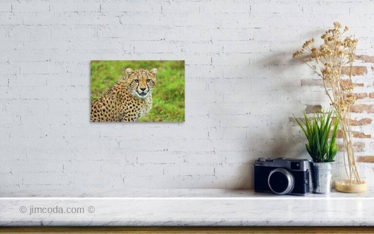 Fine art photo print example in living room