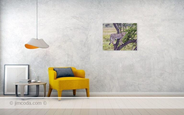Fine art photo print example in living room