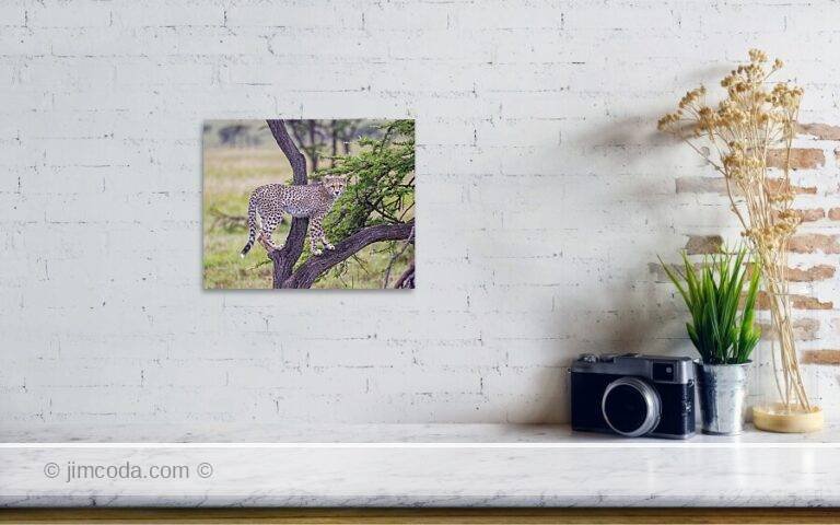 Fine art photo print example in living room