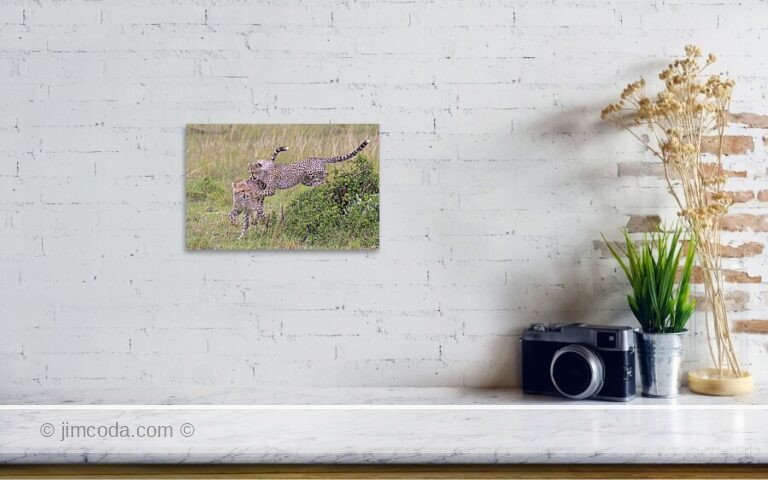 Fine art photo print example in living room