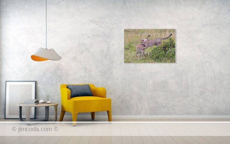 Fine art photo print example in living room