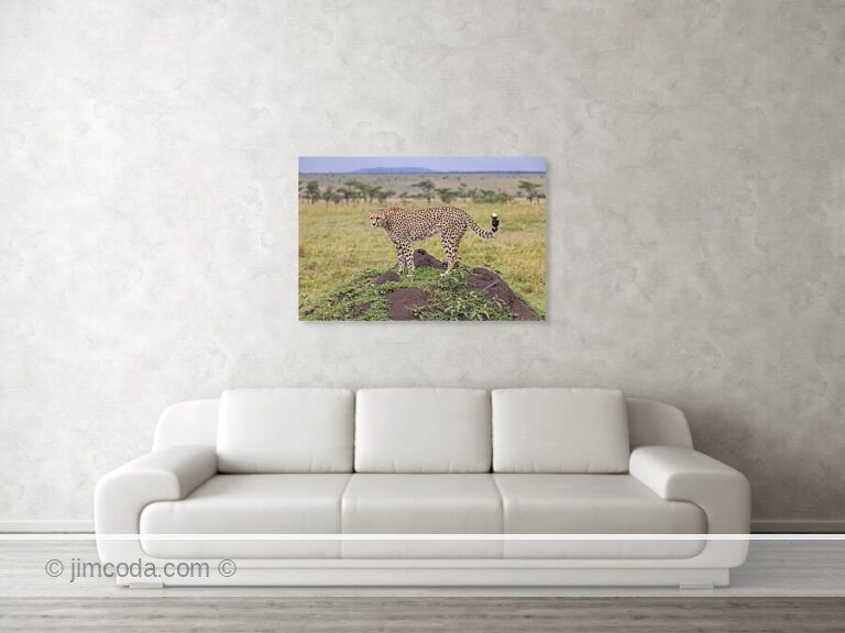 Fine art photo print example in living room