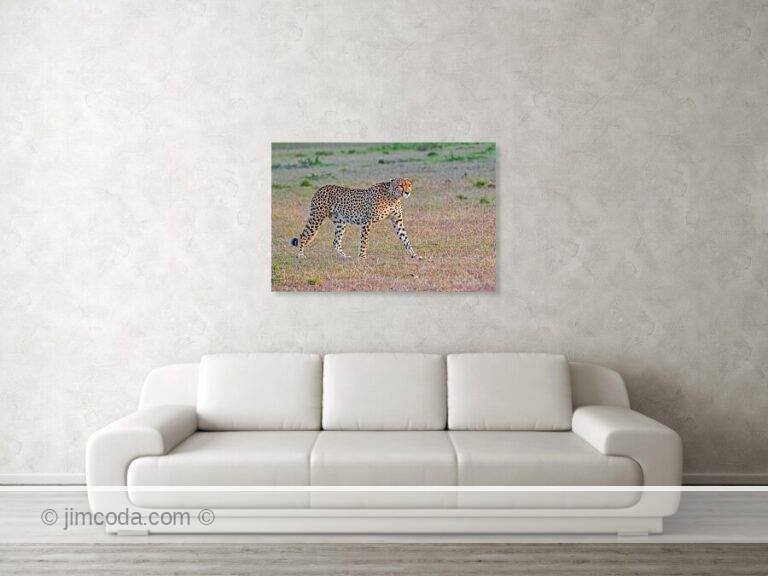 Fine art photo print example in living room