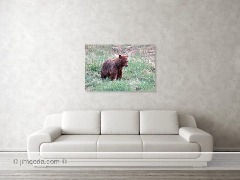 Fine art photo print example in living room