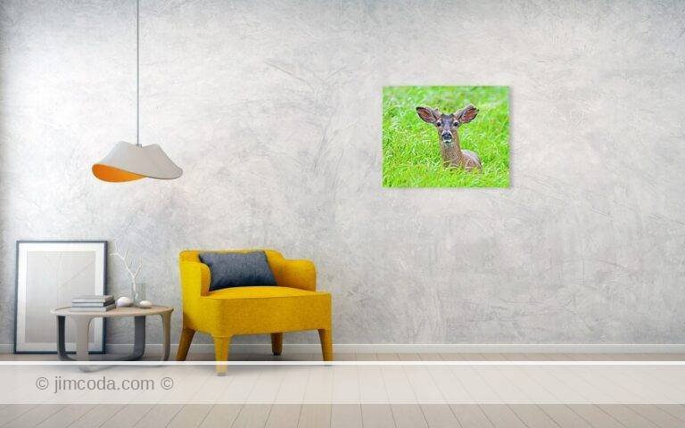 Fine art photo print example in living room