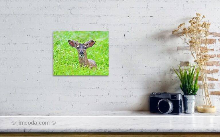 Fine art photo print example in living room