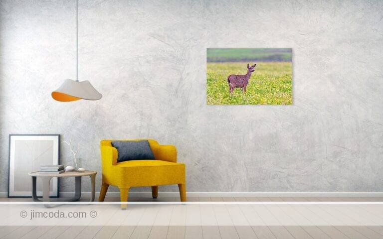 Fine art photo print example in living room