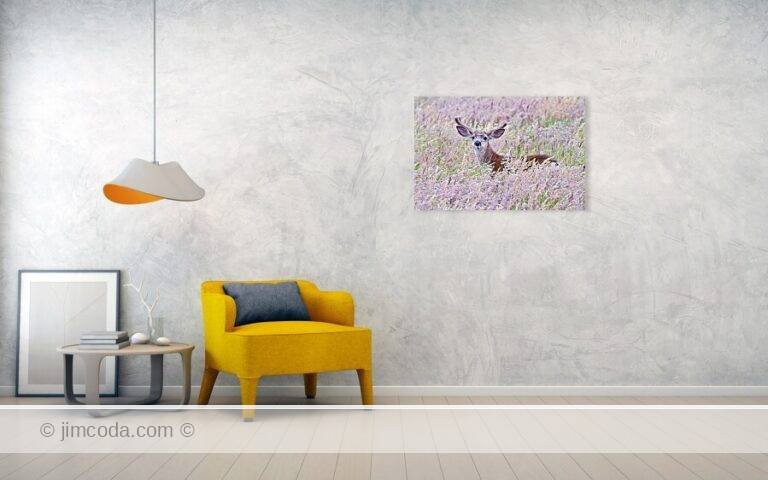 Fine art photo print example in living room