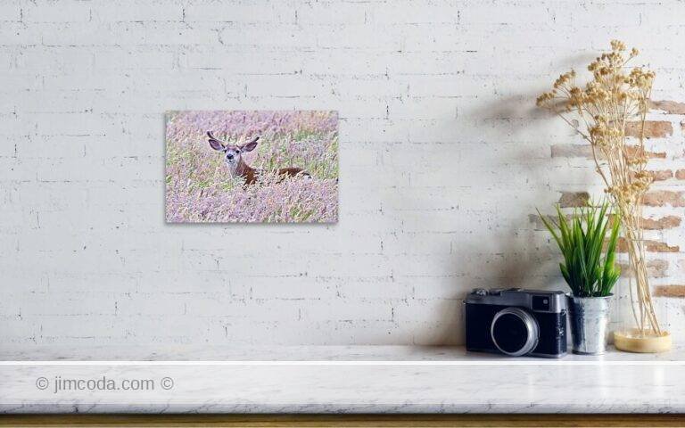Fine art photo print example in living room