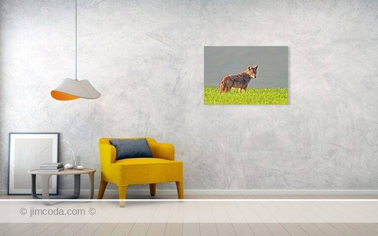 Fine art photo print example in living room