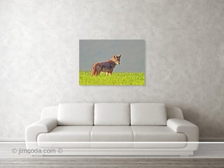 Fine art photo print example in living room