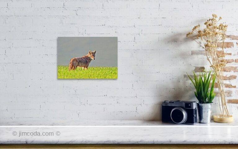 Fine art photo print example in living room