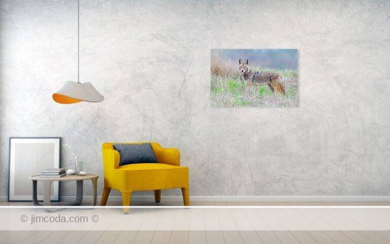 Fine art photo print example in living room