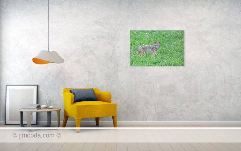 Fine art photo print example in living room