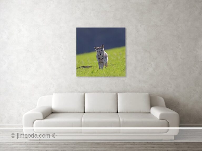 Fine art photo print example in living room