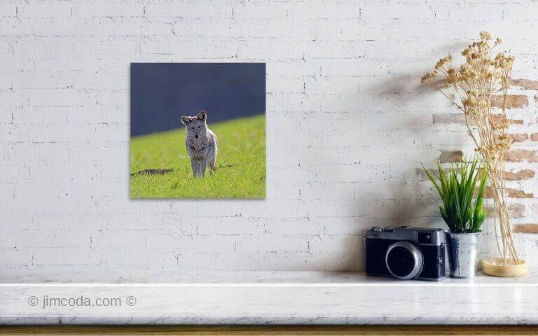 Fine art photo print example in living room