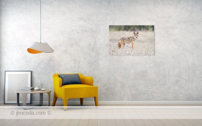 Fine art photo print example in living room