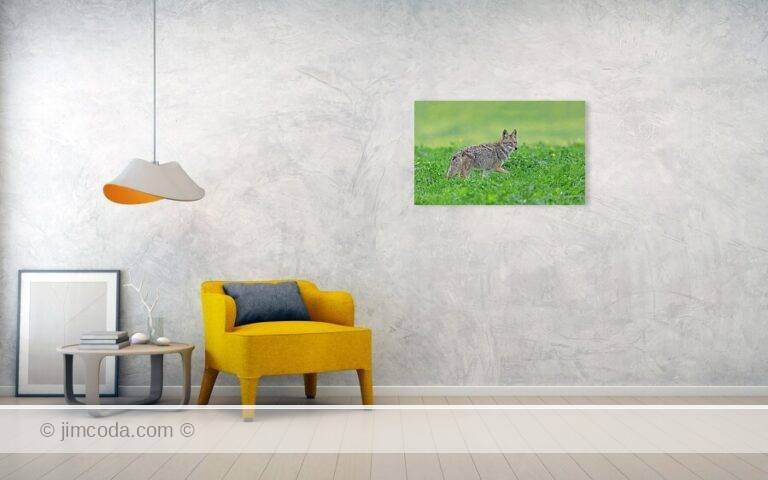 Fine art photo print example in living room
