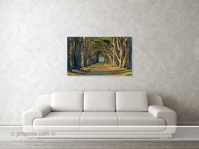 Fine art photo print example in living room