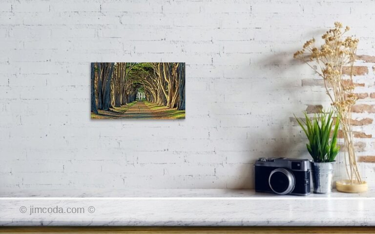 Fine art photo print example in living room