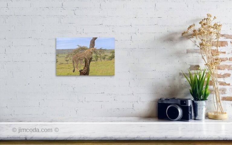 Fine art photo print example in living room