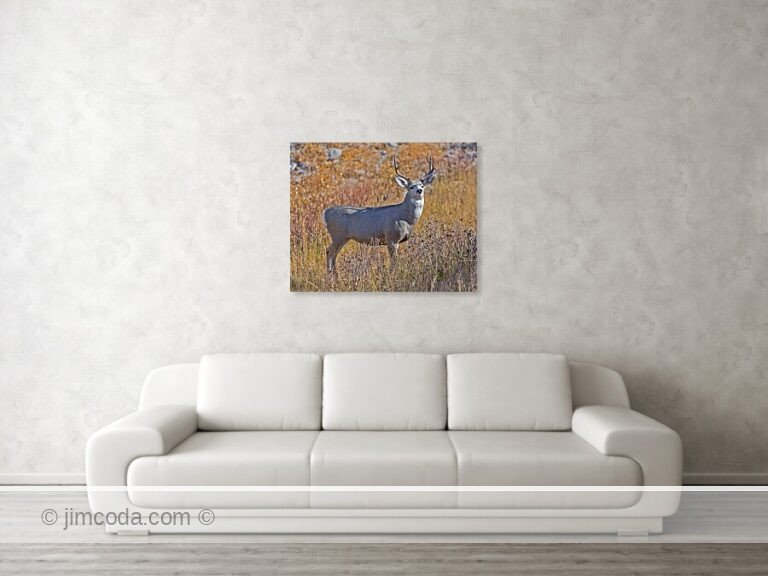 Fine art photo print example in living room