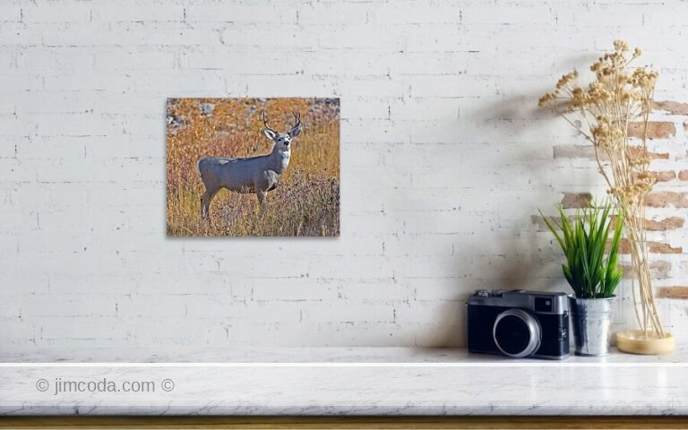Fine art photo print example in living room